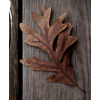 Leaf - Natural - 