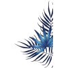 Leaf - Plants - 