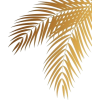 Leaf - Rastline - 