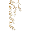 Leaf - Biljke - 