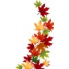 Leaves 12 - Other - 