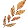 Leaves - 插图 - 