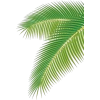 Leaves - Pflanzen - 