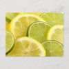 Lemon & Lime picture - Uncategorized - 