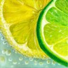 Lemon & Lime slices - water - Uncategorized - 