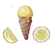 Lemon - Ilustracije - 