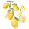 Lemons - Pozostałe - 