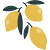 Lemons - イラスト - 