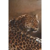 Leopard Portrait - Resto - 
