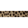 Leopard - Ilustracije - 