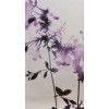 Lilac086 - Passerella - 