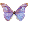Lilac Butterfly - Natural - 