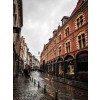 Lille in the rain - Buildings - 