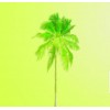 Lime - Plantas - 