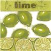 Lime - Testi - 
