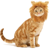 Lion King Mane Cat Costume, Lion Wig - Animales - 