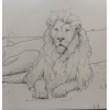 Lion - Background - 