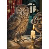 Lisa Parker owl art - Illustrations - 