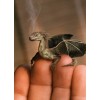 Little Dragon - Animals - 