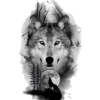 Lobo - Animais - 