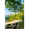 Loch Lomond Scotland - Natura - 