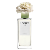 Loewe - Fragrances - 