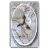 Long-tailed Tit framed - Animais - 