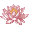 Lotus - Rascunhos - 
