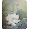 Lotus - Illustrations - 