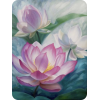 Lotus - Ilustrationen - 