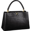 Louis Vuitton - Crocodile skin bag - Hand bag - 