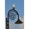 Lyme Regis Dorset UK fossil streetlight - Natura - 