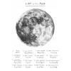 Map of the moon - Ilustracije - 