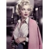 Marilyn Monroe - Moje fotografie - 