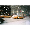 Winter in NY - Moje fotografie - 