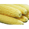 Corn - Živila - 