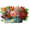 Flower basket - Rastline - 