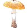 Mushroom - Predmeti - 
