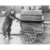 Milk delivery during WWII in the UK - モデル - 