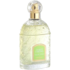 Mint - Parfumi - 