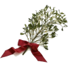 Mistletoe Branch - Plants - 