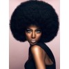 Model With Large Afro - その他 - 
