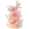 Cake - 食品 - 