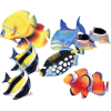 Fish - Animais - 