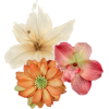 Flower - Pflanzen - 