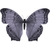 Butterfly - 動物 - 