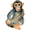 Monkey - 動物 - 