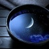 Moon in a cup - Natura - 