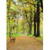 jesen - Background - 
