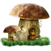 Mushroom - Illustraciones - 